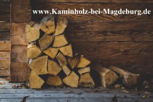 Kaminholz Magdeburg