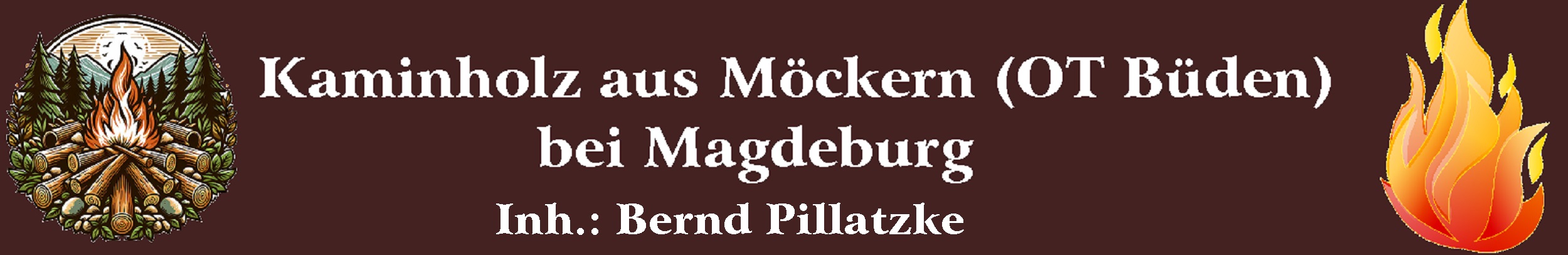 Kaminholz Magdeburg